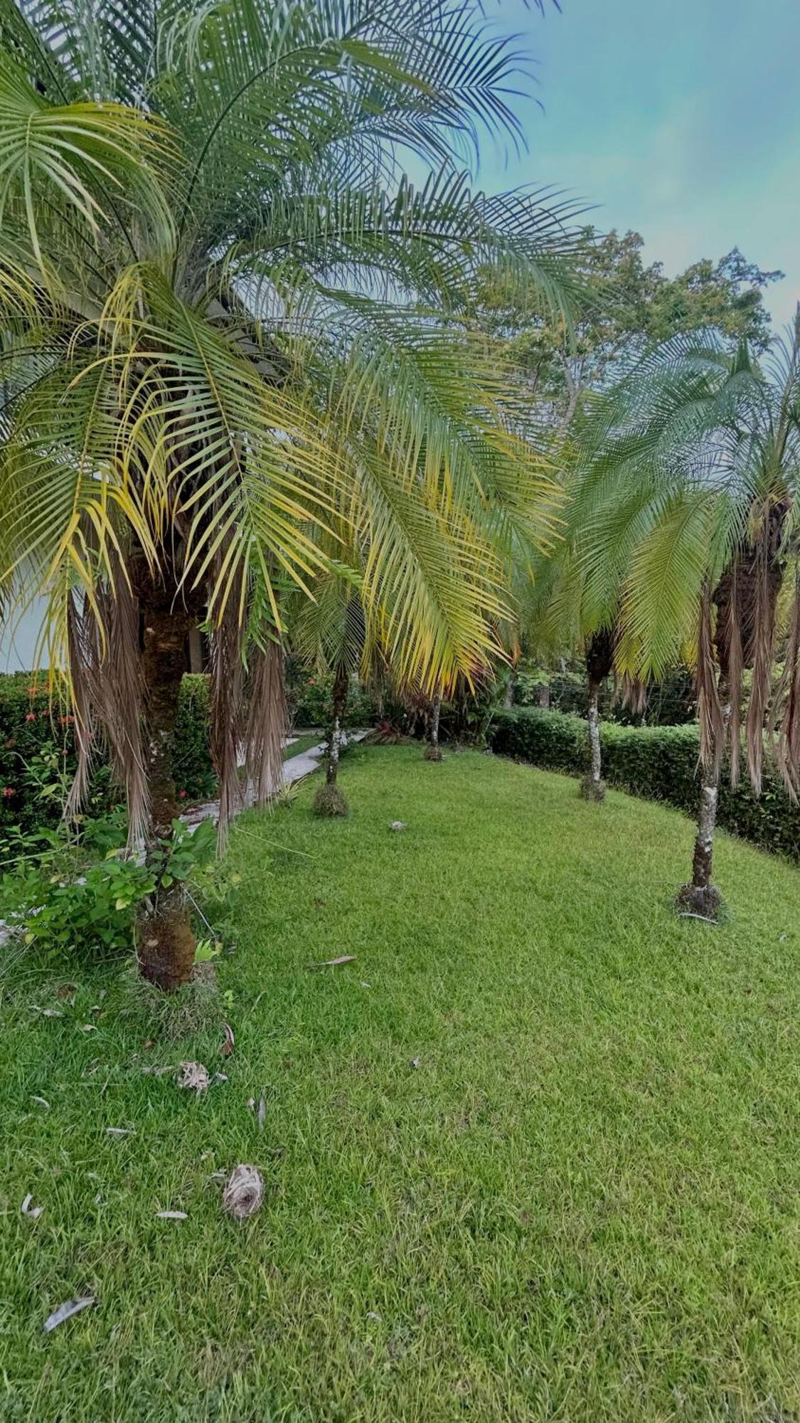 Villa Vista Mar دومينيكال المظهر الخارجي الصورة